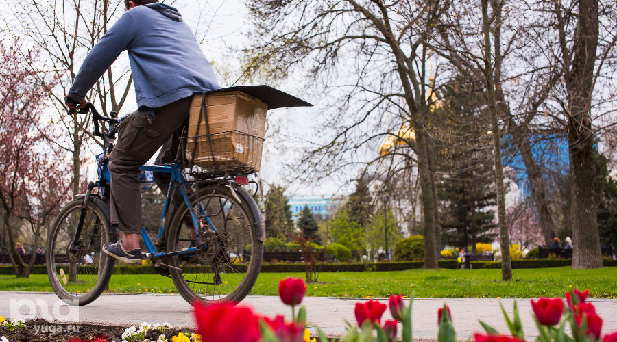  © Фото Елены Синеок, Юга.ру