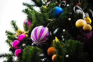 Новый год &copy;&nbsp;Елена Синеок. ЮГА.ру