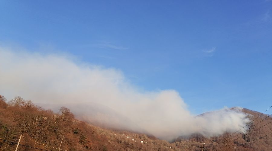  &copy;&nbsp;Фото пресс-службы Сочинского нацпарка