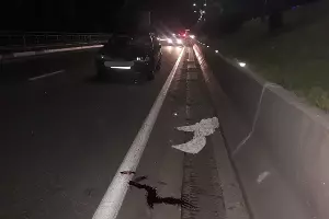  &copy;&nbsp;Фото отделения по пропаганде безопасности дорожного движения ОГИБДД УВД по Сочи