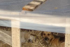  © Фото Валентины Раилко