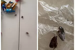  &copy;&nbsp;Скриншот из телеграм-канала Юрия Озаровского https://t.me/MoreOz/112681