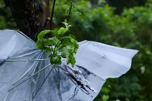 Работа Бернхарда Холашке &copy;&nbsp;Фотография предоставлена представителями Plague Space