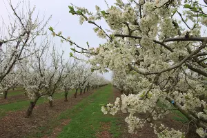  &copy;&nbsp;Фото Марины Солошко, Юга.ру