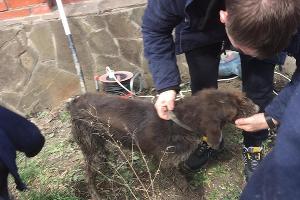  &copy;&nbsp;Фото со страницы instagram.com/alekseioderov