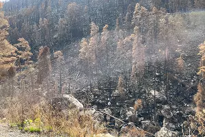  &copy;&nbsp;Фото Марины Солошко, Юга.ру