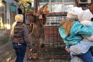  © Фото пресс-службы администрации Краснодара