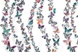  © Фотография предоставлена пресс-службой Краснодарского муниципального концертного зала