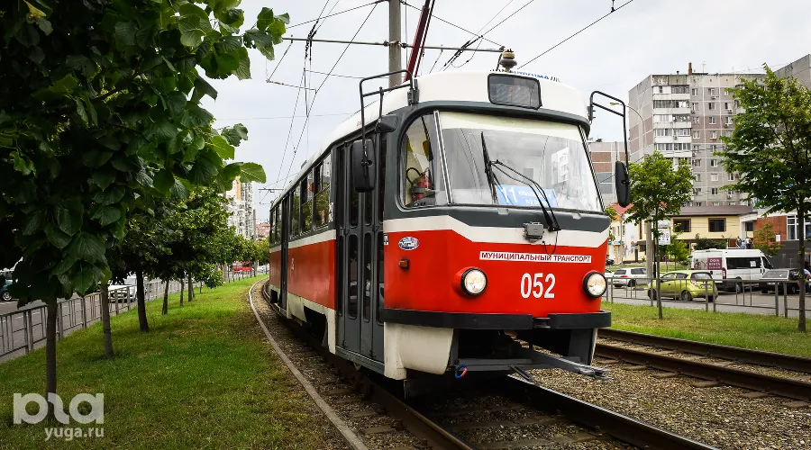  &copy;&nbsp;Фото Елены Синеок, Юга.ру