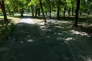 Пешеходные дорожки &copy;&nbsp;Фото Дмитрия Пославского, Юга.ру