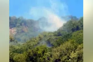 Пожар в лесу рядом с Новомихайловкой, 14 июля 2024 г. &copy;&nbsp;Скриншот публикации в телеграм-канале администрации Туапсинского района, t.me/tuapseregionadm