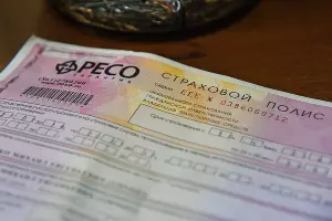 Полис ОСАГО &copy;&nbsp;Елена Синеок, ЮГА.ру