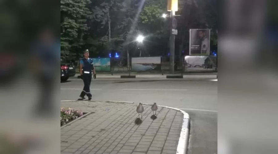  &copy;&nbsp;Фото из инстаграма начальника начальника МБУ ПАСС &laquo;Служба спасения&raquo; Новороссийска Алексея Одерова, instagram.com/alekseioderov/