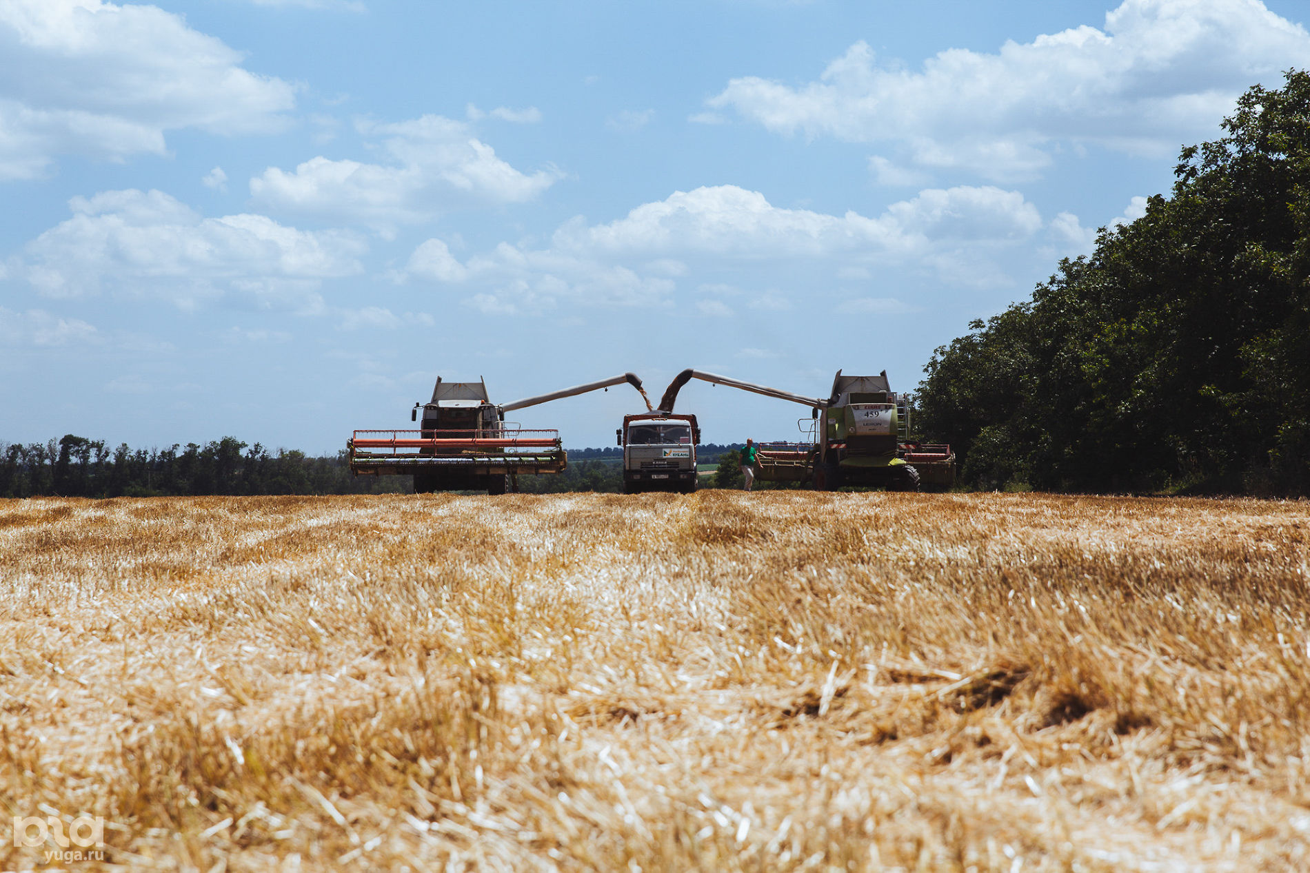 уборка озимых. урожай озимой пшеницы в краснодарском крае. ооо труженик мокшанский район пензенская область. уборочные машины для уборки зерновых культур. уборочная страда.