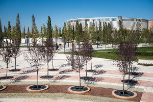 Открытие парка у стадиона ФК «Краснодар» © Фото Елены Синеок, Юга.ру