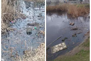  &copy;&nbsp;Скриншот из чата в Telegram &laquo;Очистка и зарыбление Карасунов&raquo;