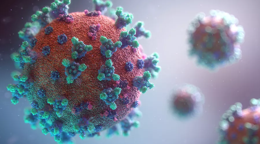  &copy;&nbsp;Фото Fusion Medical Animation c сайта Unsplash.com
