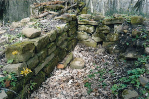  © Фото Нацпарка Сочи