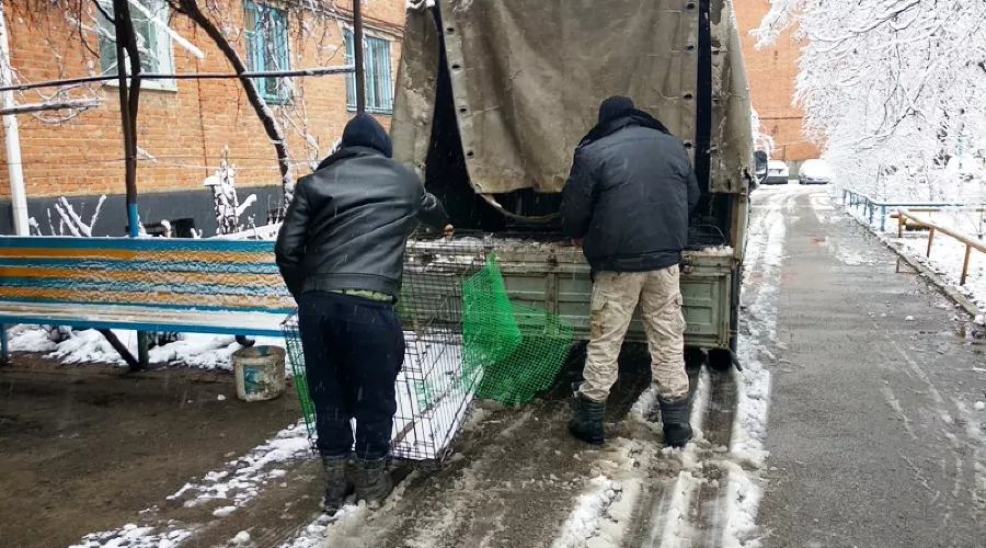  &copy;&nbsp;Фото пресс-службы УФССП по Республике Адыгея