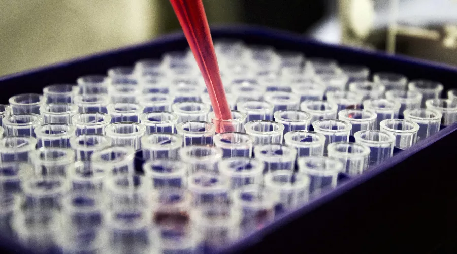  &copy;&nbsp;Фото Louis Reed, unsplash.com