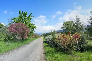  &copy;&nbsp;Фото пресс-службы МУП Сочи &laquo;Водоканал&raquo;