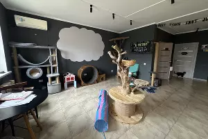  &copy;&nbsp;Фото Марии Журавлевой, Юга.ру