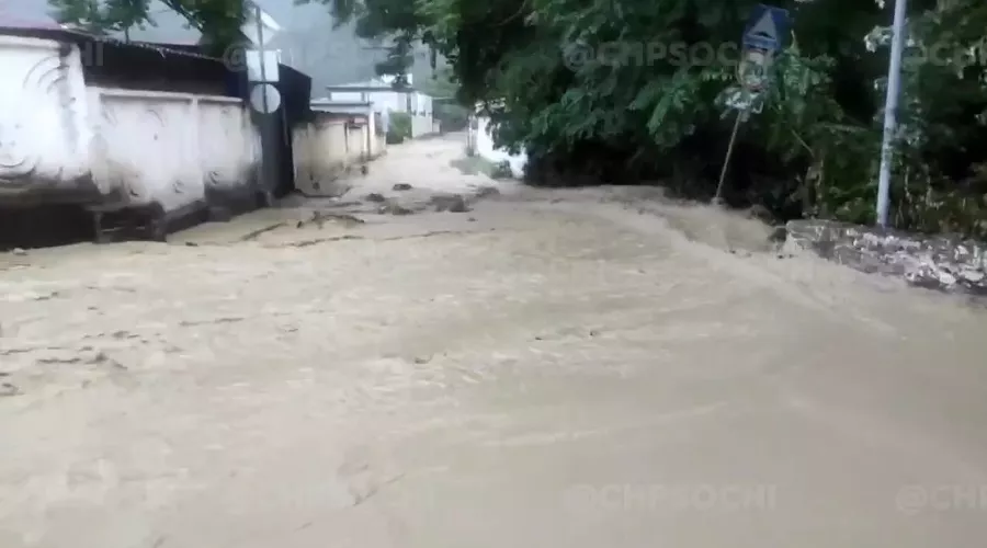  &copy;&nbsp;Скриншот видео из телеграм-канала &laquo;ЧП Сочи&raquo;, t.me/chp_sochi
