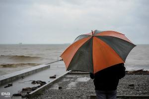  © Фото Нины Зотиной, Юга.ру