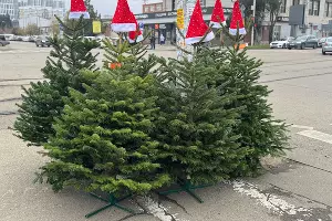  &copy;&nbsp;Фото Марии Журавлевой, Юга.ру