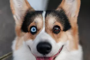  &copy;&nbsp;Фото Виктории Сигачевой