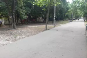  &copy;&nbsp;Фото пресс-службы администрации Краснодара