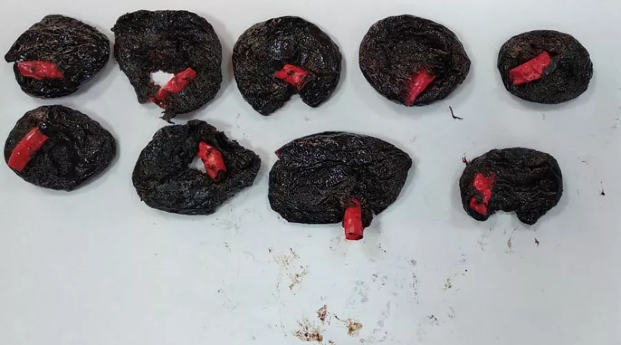 Героин в черносливе &copy;&nbsp;Фото пресс-службы УФСИН России по Краснодарскому краю