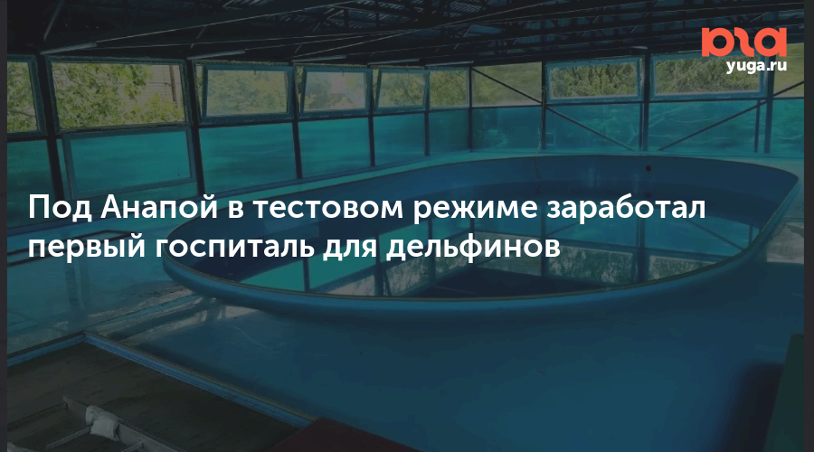 Под Анапой в тестовом режиме заработал первый госпиталь для дельфинов