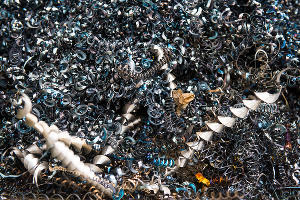  © Фото Елены Синеок, Юга.ру