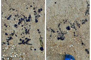 Анапа © Скриншот из телеграм-канала «Сети, сито, лопата» https://t.me/setisitolopata/1989