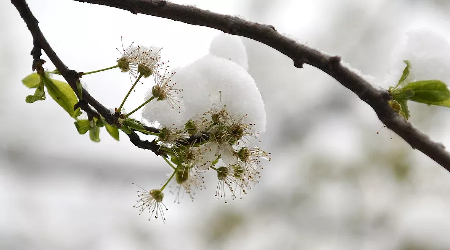  &copy;&nbsp;Алёна Живцова, ЮГА.ру