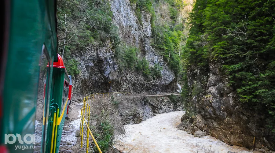  &copy;&nbsp;Фото Елены Синеок, Юга.ру