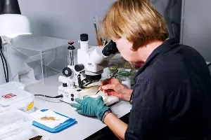 Ольга Гунчина возглавляет отдел научной реставрации, консервации и реконструкции музейных предметов. У нее биолого-химическое образование, в археологии она с 1991 года &copy;&nbsp;Фото Юли Шафаростовой, Юга.ру