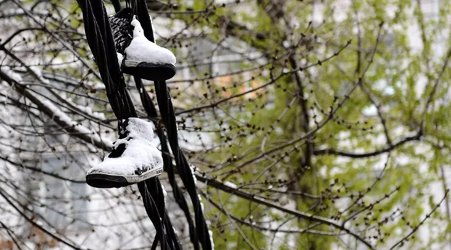  &copy;&nbsp;Фото Алены Живцовой, Юга.ру