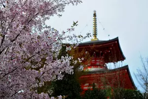  &copy;&nbsp;Фото Марины Солошко, Юга.ру