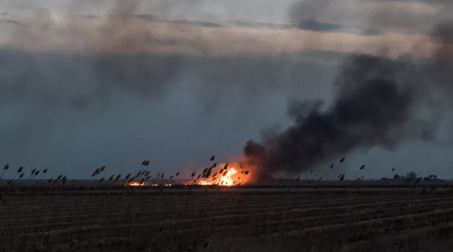  &copy;&nbsp;Фото Елены Синеок, Юга.ру