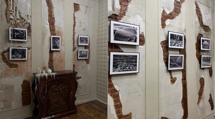  &copy;&nbsp;Коллаж из скриншотов фото из телеграм-канала &laquo;Logovo Феникса&raquo;