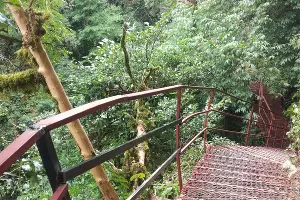  &copy;&nbsp;Фото пресс-службы Кавказского заповедника