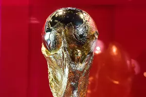 Кубок чемпионата мира по футболу &copy;&nbsp;Фото Елены Синеок, Юга.ру
