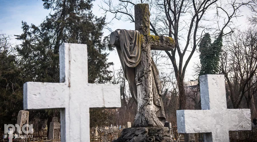  &copy;&nbsp;Елена Синеок, Юга.ру