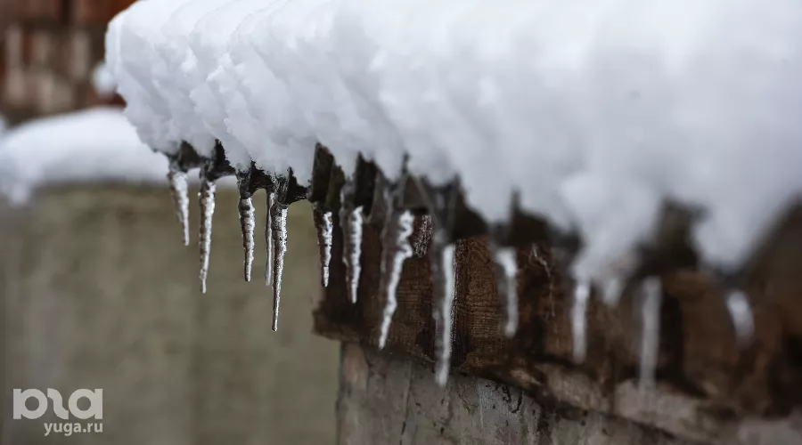  &copy;&nbsp;Фото Елены Синеок, Юга.ру