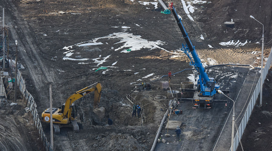  © Фото Елены Синеок, Юга.ру