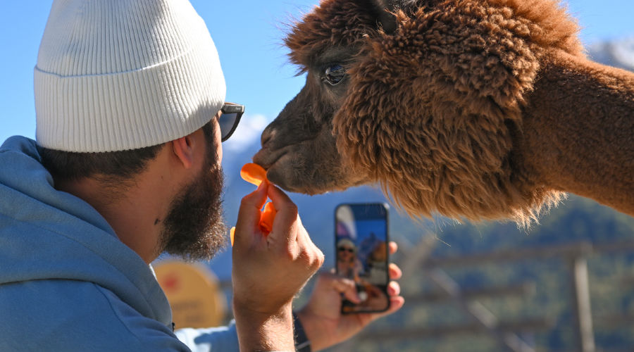  © Фото пресс-службы курорта «Роза Хутор»
