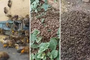  &copy;&nbsp;Скриншоты видео Анастасии Полтавцевой