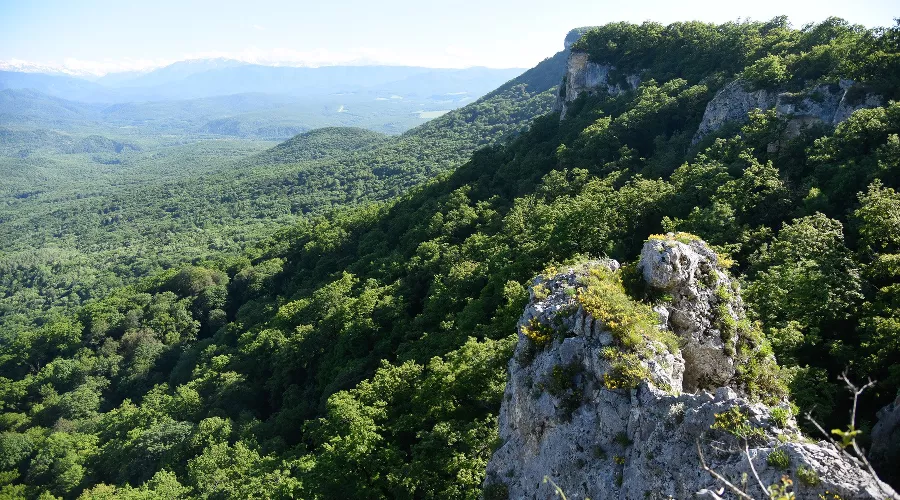  &copy;&nbsp;Фото Елены Синеок, Юга.ру
